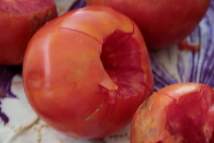 If the tomatoes are very ripe, you may be able to pull the peel away at this point. If the skin is still tight, you'll have to blanch the tomatoes to remove the peel.