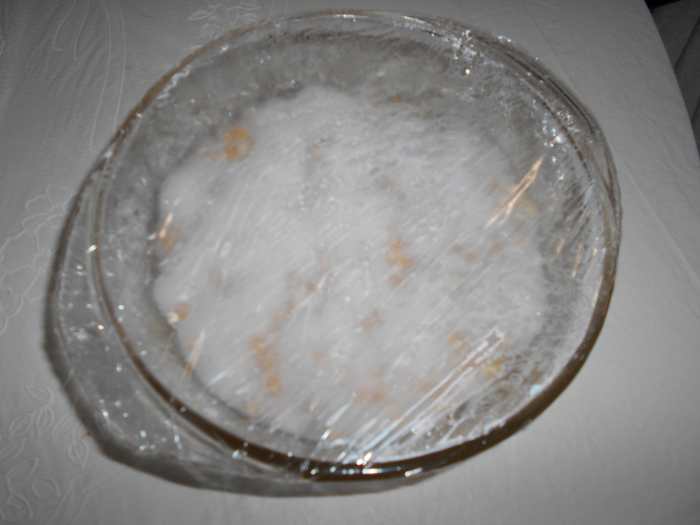 How to Make Your Own Tempeh Starter Delishably