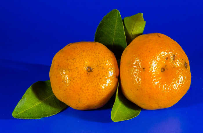 Mandarins, a symbol of prosperity.