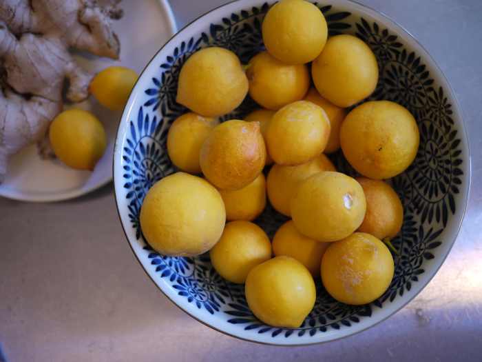 How to Use Fresh Turmeric Root for Joint Pain in a Tea or Tonic