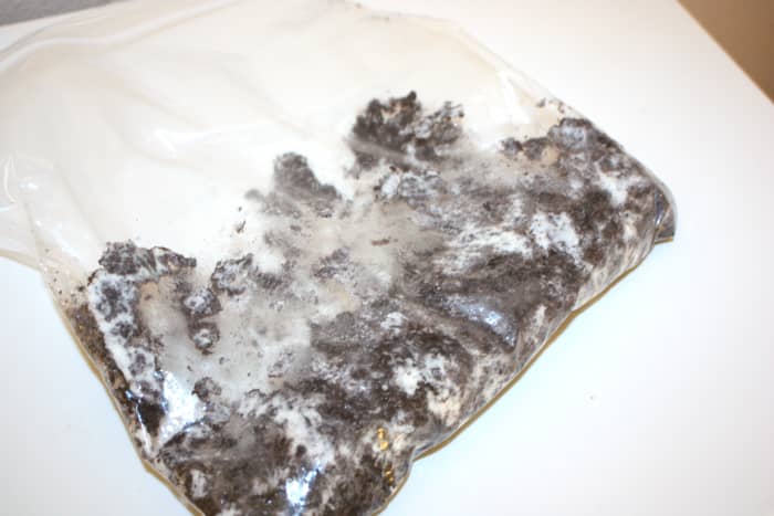 Crush up the cookies either by placing in a food processor or hand crushing them in a plastic food storage bag. Makes sure they have a fine crumb consistency.