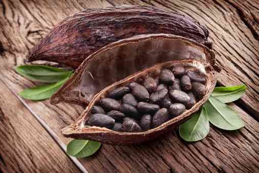 Fun Facts About Top Swiss Chocolate Brands Delishably