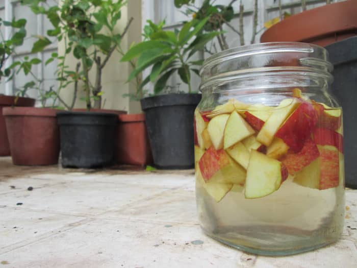 Cut the apples into big enough pieces so that they don't become a mushy mess.
