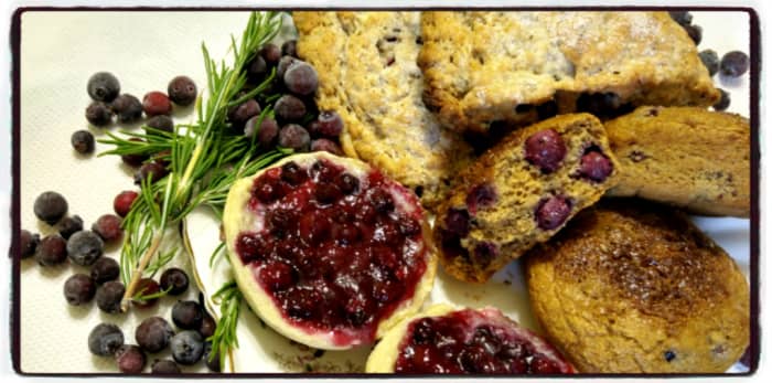 Tasty, healthy rustic tea spread-- saskatoon berry butter tarts, saskatoon-rosemary scones, and saskatoon-oatmeal muffins