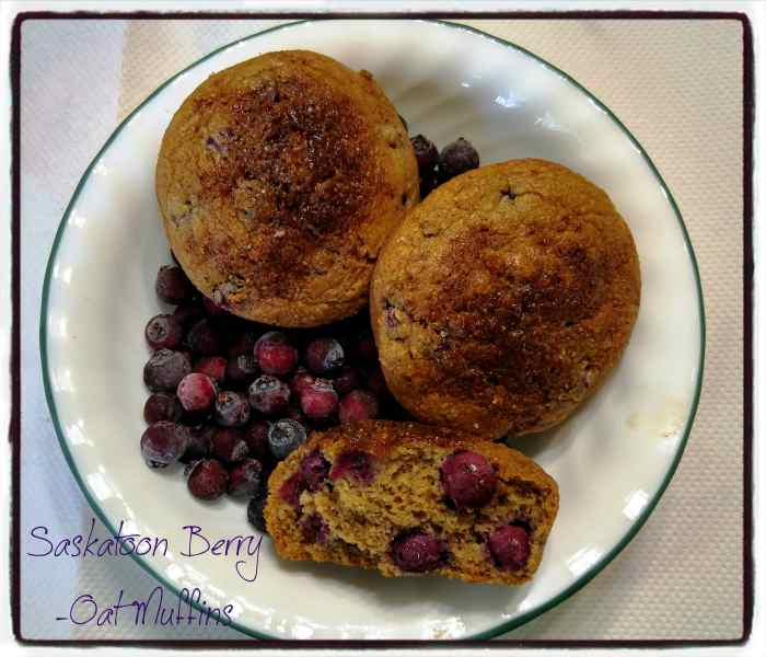 The Saskatoon Berry Superfood Sensation Delishably