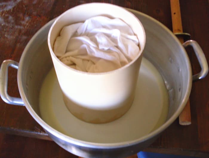 Fold the cloth (I'm using a tea towel) over the curds. My cheese wheels turn out a bit uneven, but delicious. Layers of cheesecloth may yield a smoother product.