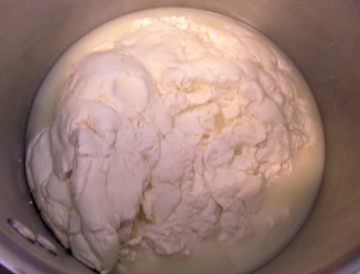 These curds have been gently mixed and broken slightly apart, just enough to allow the salt to penetrate.