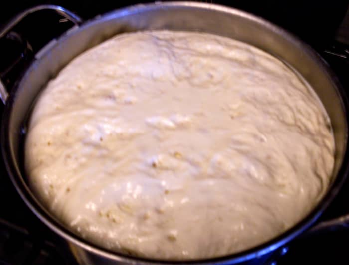This batch was left too long ... but at a cooler temperature. It is still quite puffy and fragile. Such curds, if broken up, do not conform correctly in a cheese press.