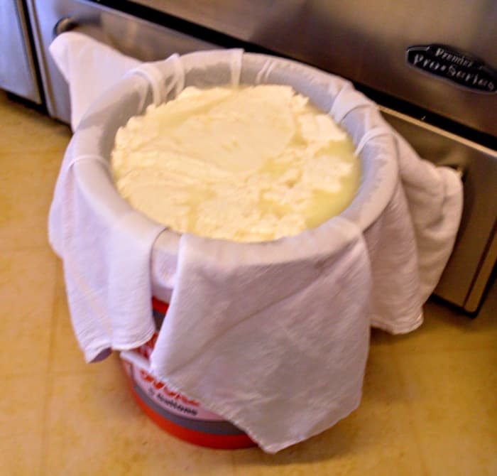 My cheese press will handle up to 2 small stock pots of curds at a time, or almost 4 gallons of milk total.