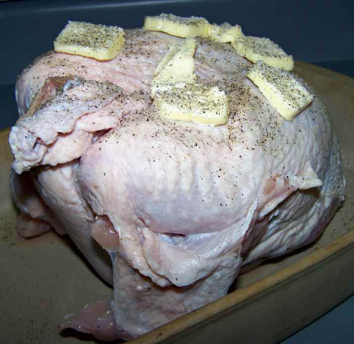 The Idiot’s Guide to Roasting a Holiday Turkey Delishably