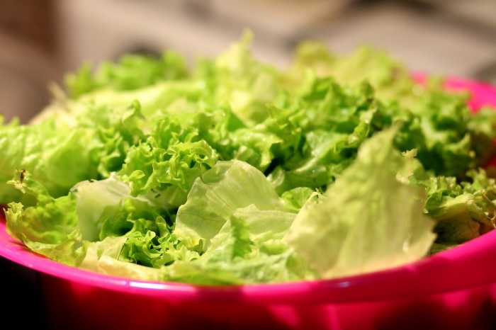 Iceberg Lettuce