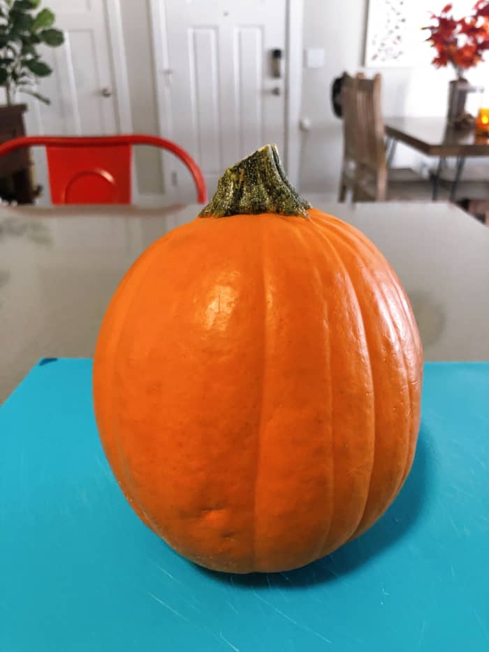 Bright orange small-sized pumpkin. This type of pumpkin would be suitable for making a pumpkin pie, as well.