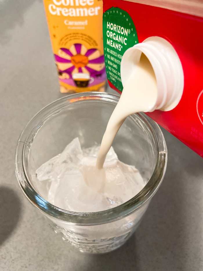 In a tall glass combine the ice cubes and milk. 