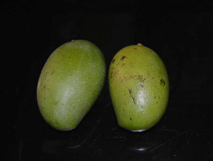 Raw mangoes