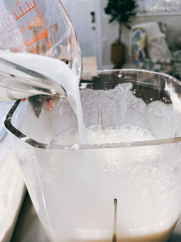 Add the coconut milk into the mixture.