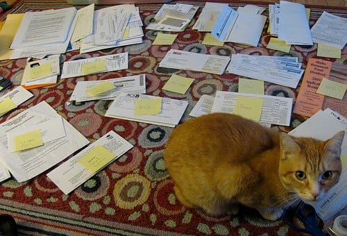 Don't stress out about getting filing done every day. Maximize the opportunities that you do have. If you're working at home, maybe your pet will cheer you on through the process.