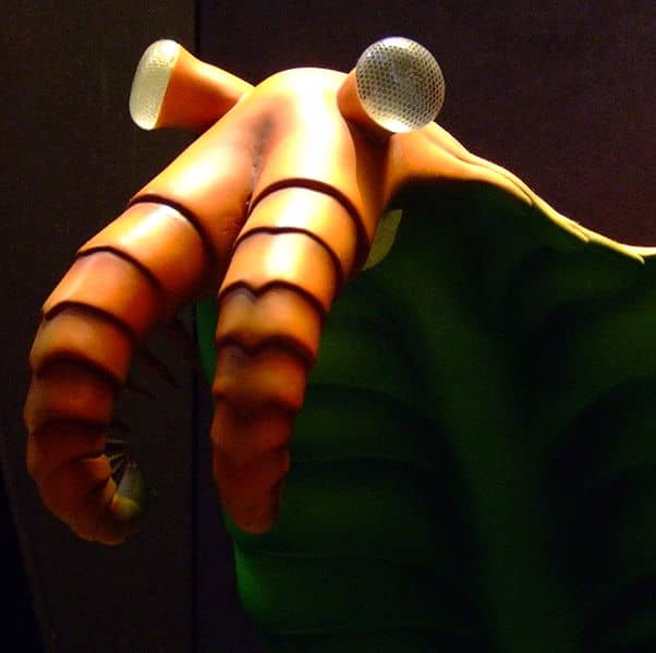 The strange frontal appendages of Anomalocaris were totally unique to the species, and nothing like it has appeared in any animal that has evolved since