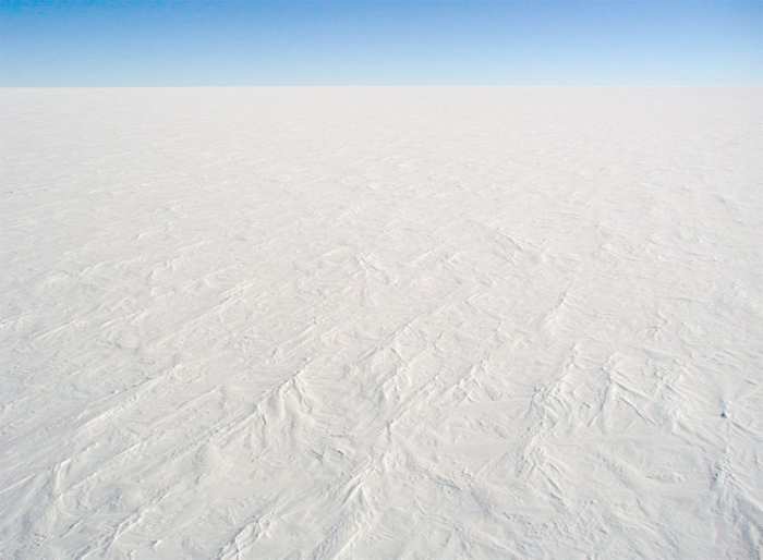 The Ice Ages, began 2.5 million years ago and continue to this day. There are some experts that think even if the asteroid had missed, then the Ice Age would have eventually finished them off.