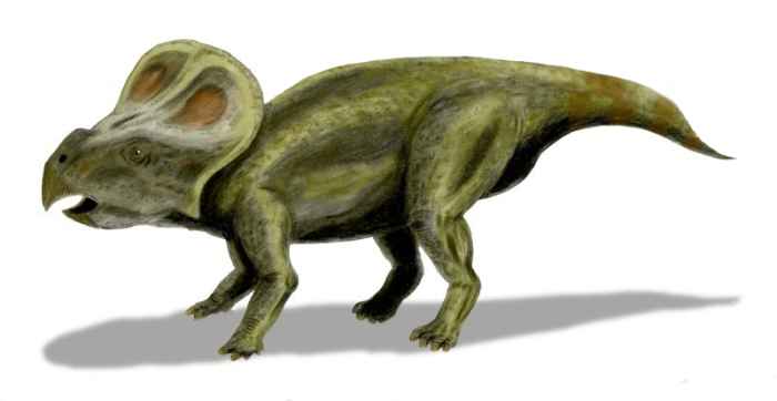 If large mammals did not exist, then would we humans be farming Protoceratops for their meat and eggs instead?