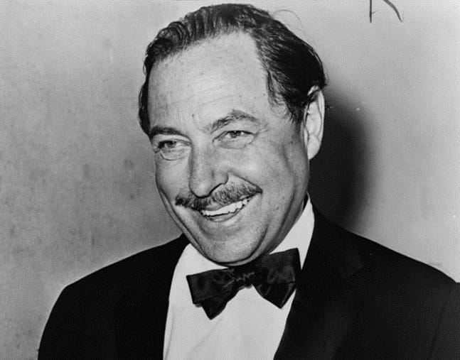 Tennessee Williams’ rise to fame coincided with the first performance of The Glass Menagerie, a play that raises the use of theatrical devices to a new level in theater history.