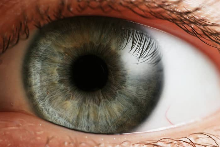 The eye is the organ that allows sight. It's made up of many parts—each with specific names and functions.
