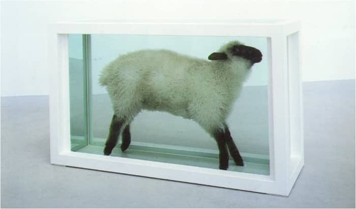 Damien Hirst, Away From the Flock (1994), 38x59x20in, steel, glass, lamb, formaldehyde solution. Saatchi Collection.