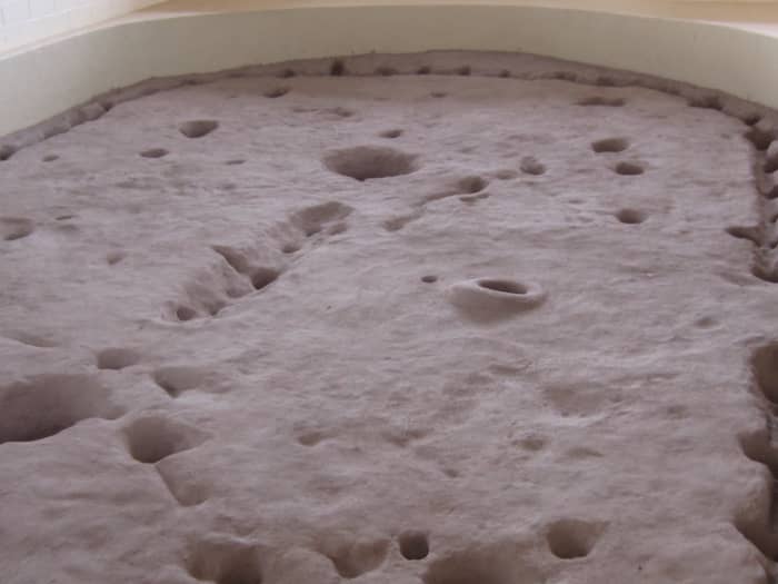 Remains of floor of 11th Century Pit House above. Holes are for posts that supported the roof. Size indicates it may have been used for community ceremonies.