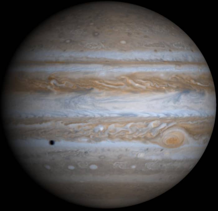 True-color photo from Cassini wrapped on globe by JPL imaging. Yes, Jupiter really is that fat. It spins incredibly fast. (The black spot is the shadow of one of its moons.)