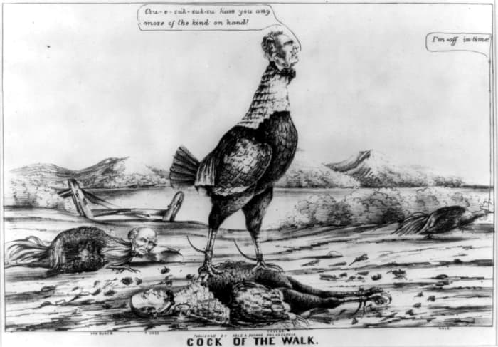 Because Polk was believed to be the front-runner, this cartoon was created showing that he was going to be a victorious fighting cock.
