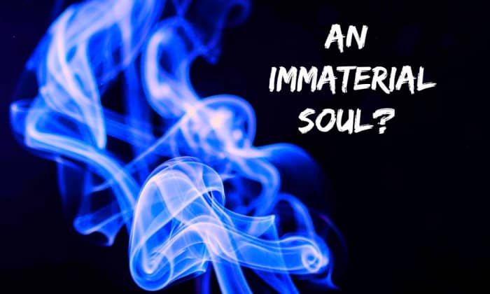 An immaterial soul is a paradox. By definition it does not exist because everything that exists is made of matter.