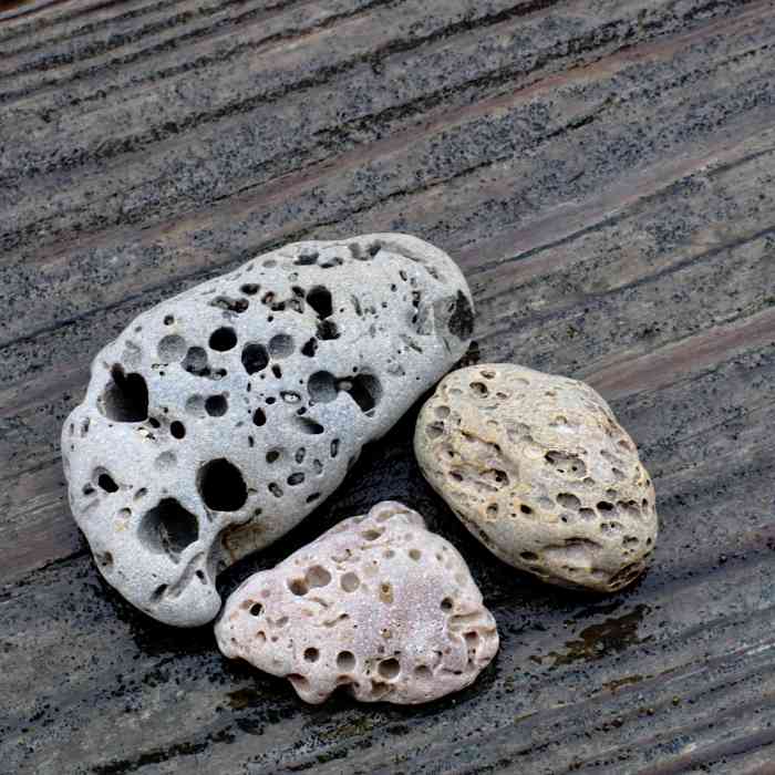 Vesicular Basalt "Scoria" -  Lake Michigan Beach Stone