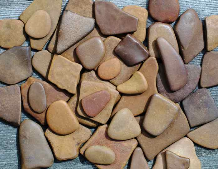 Broken Pieces From Brown Septarian Mudstone, Lake Michigan