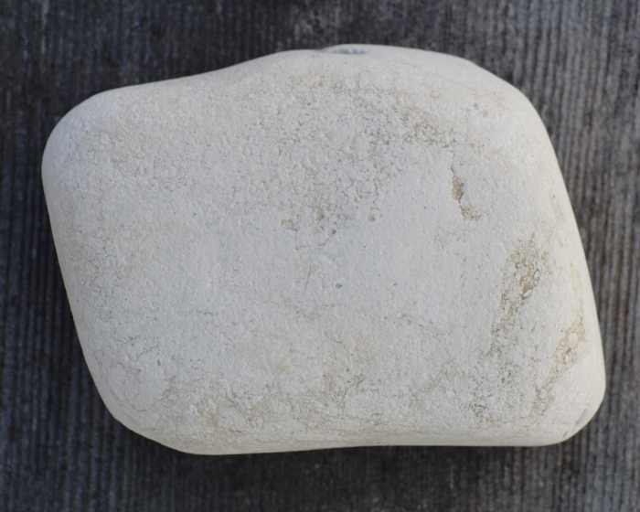 Siltstone