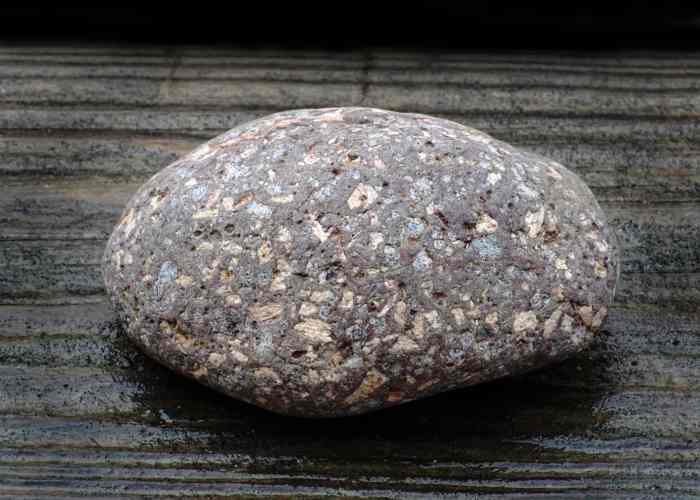 Vesicular Basalt  "Amygdaloidal" - Lake Michigan Beach Stone