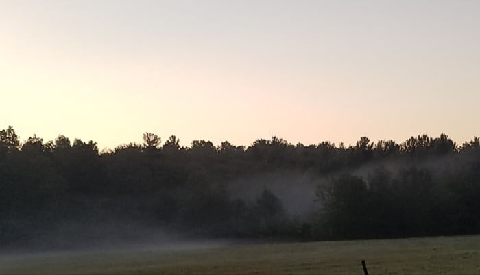 The mist over the field seems dreamy, and our dreams may be both beautiful and informative. They are gifts from our Shadow selves to help us heal.