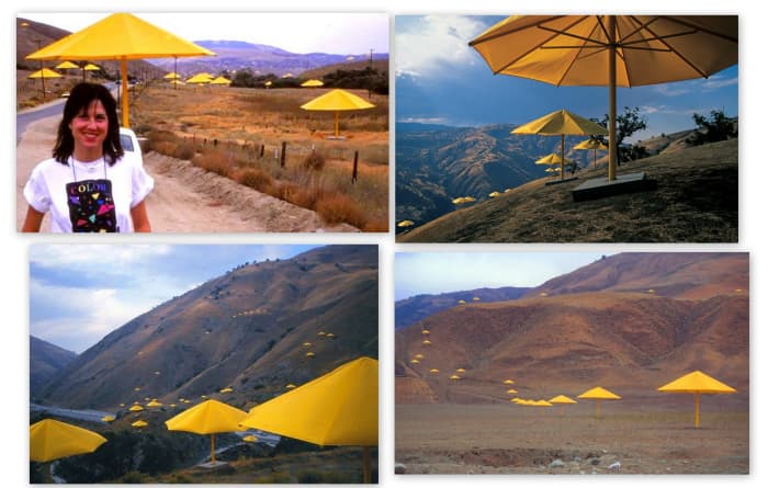 Yellow was chosen for the Southern California portion as the color meshed well with the air landscape.