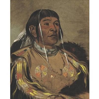 Catlin's extensive collection of tribal portraits has visually preserved information about the dress and hairstyles of hundreds of Native American tribes.