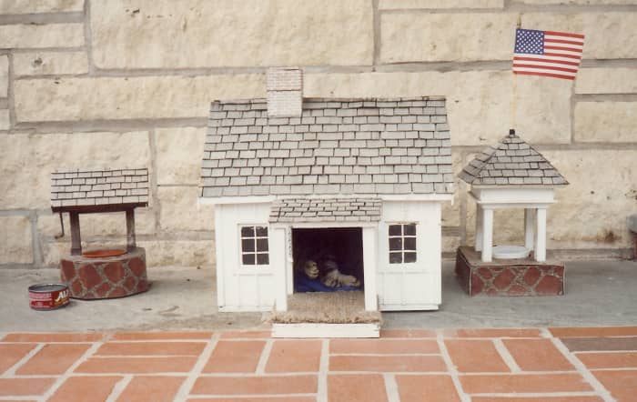 Seen at the Herbert Hoover Presidential Library - The mother cat and kitten abode inside the portico of the museum.