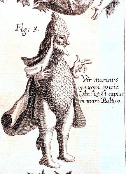 Merman caught 1531, Baltic Sea. 'Specula physico-mathematico-historica notabilium ac mirabilium sciendorum' by Johann Zahn, 1696, Augsburg, Germany. Library Call Number: Q155 .Z33 1696. Image ID: libr0081, Treasures of the NOAA Library Collection. Ph