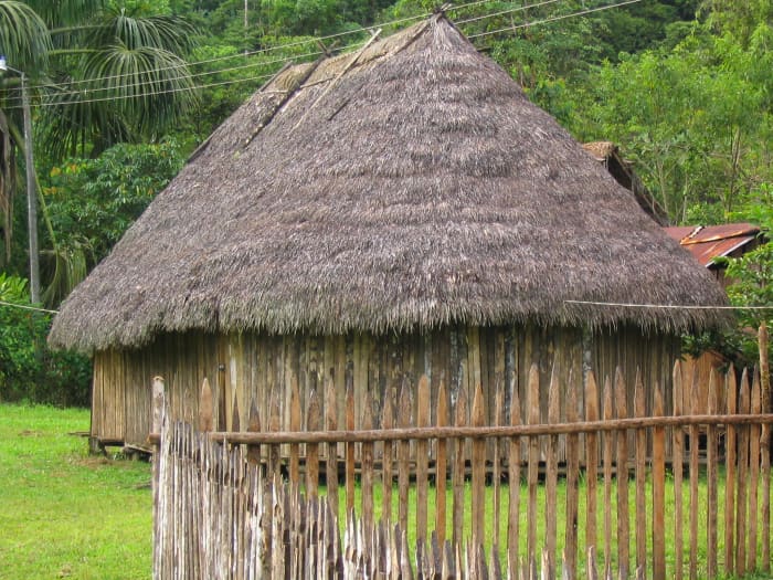 Shuar build their houses from the wood and leaves of the rainforest. This is a similar Achuar house on the edge of the forest.