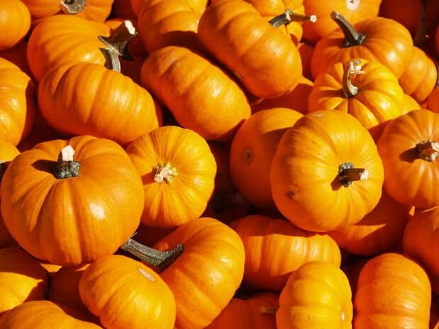Pumpkin and other bright orange foods such as carrots and yams (sweet potatoes) are a great source of beta-carotene.