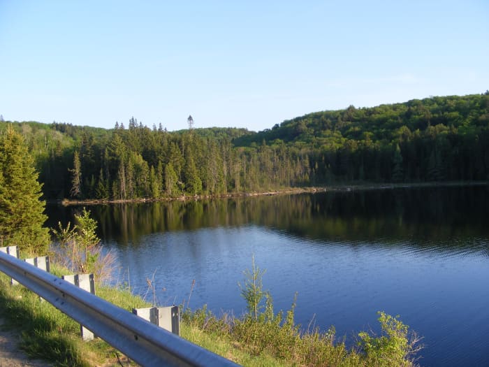 This is a view of Brewer Lake, located along the highway 60, within Algonquin Park. This is the lake directly adjacent to where I spotted my first Algonquin Park Wolf.