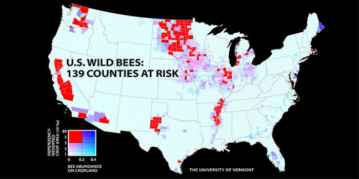 A new UVM study of wild bees identifies 139 counties in key agricultural regions of California, the Pacific Northwest, the Midwest, west Texas and the Mississippi River valley that face a worrisome mismatch between falling wild bee supply and rising