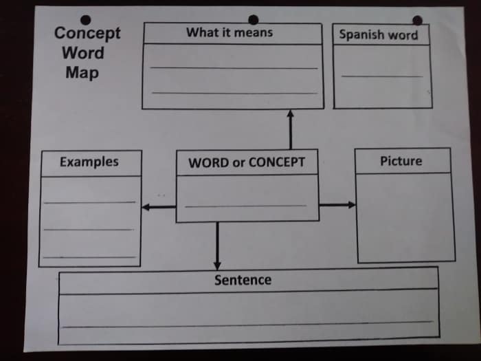 Use graphic organizers to help your ELLs make sense of new information.