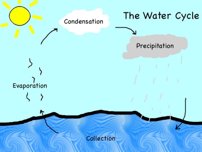 A clear, colorful image of the water cycle. Visuals are invaluable in helping ELLs make sense of new content.