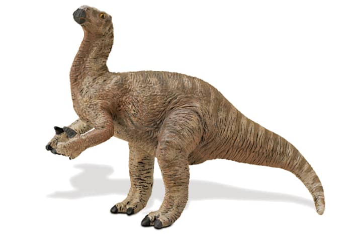 It's still not known if Iguanadon predominantly was quadrepedal or bipedal. But note in this modern representation the spiked thumbs - no longer on the nose!