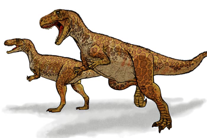 This agile bipedal Megalosaurus depiction is thought to be much closer to the truth of this fearsome dinosaur