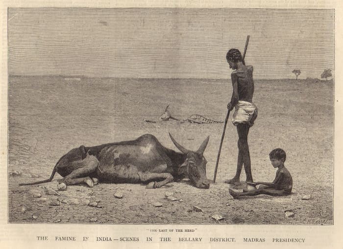 A scene from one of the famines in British India : tens of millions at the least died throughout British rule of hunger.