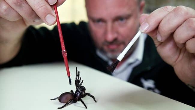 Struan Sutherland working to create an antivenom to the Sydney funnel-web spider in Australia. His efforts were successful and the antivenom was created in 1981. Since that time, there have been no deaths reported due to this venomous spider's bite.