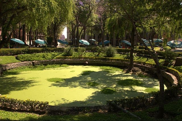 stormwater-management-history